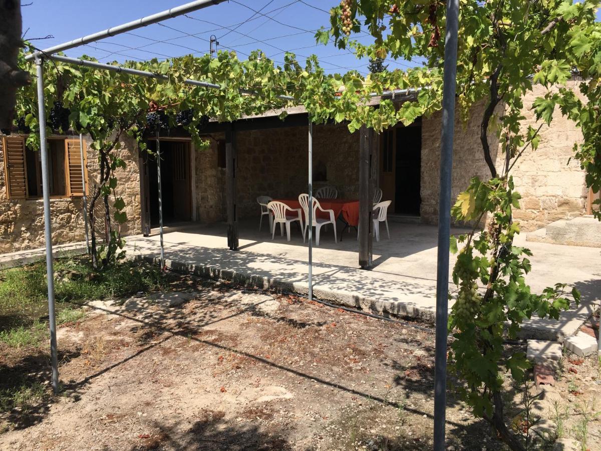 Friendly Villagehouse Pafos Dış mekan fotoğraf