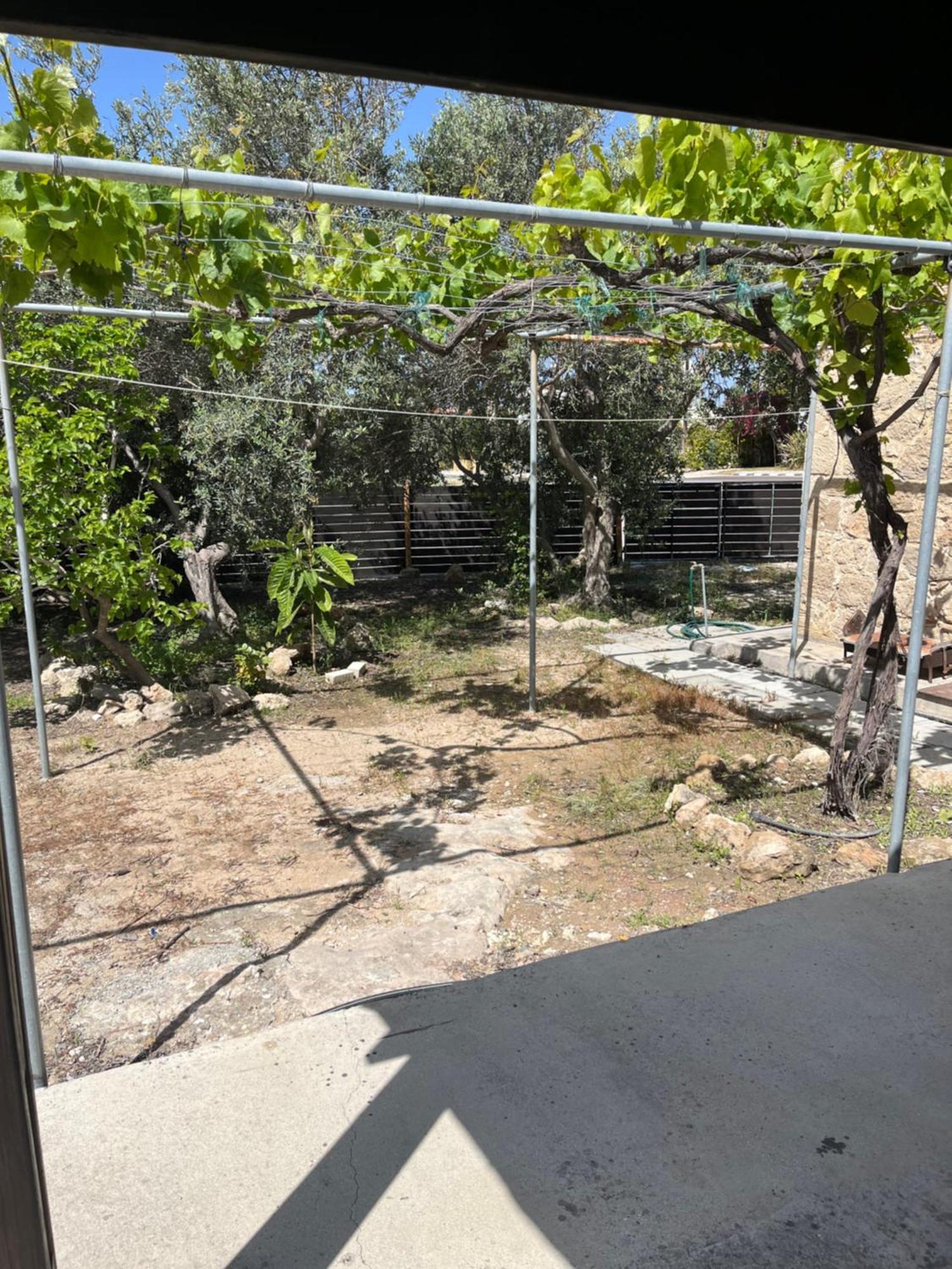 Friendly Villagehouse Pafos Dış mekan fotoğraf